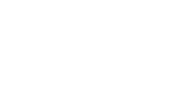 Stirr, LLC